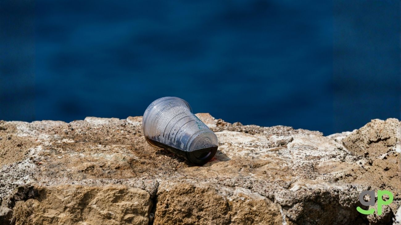Single-use plastic coffee cup lying on sand by the ocean, illustrating the impact of plastic waste on coastal environments.”